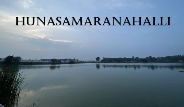 Hunasamaranahalli Lake